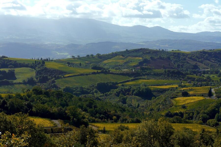 From Siena: Brunello di Montalcino Guided Wine Tour W/ Lunch - What the $203.91 price covers