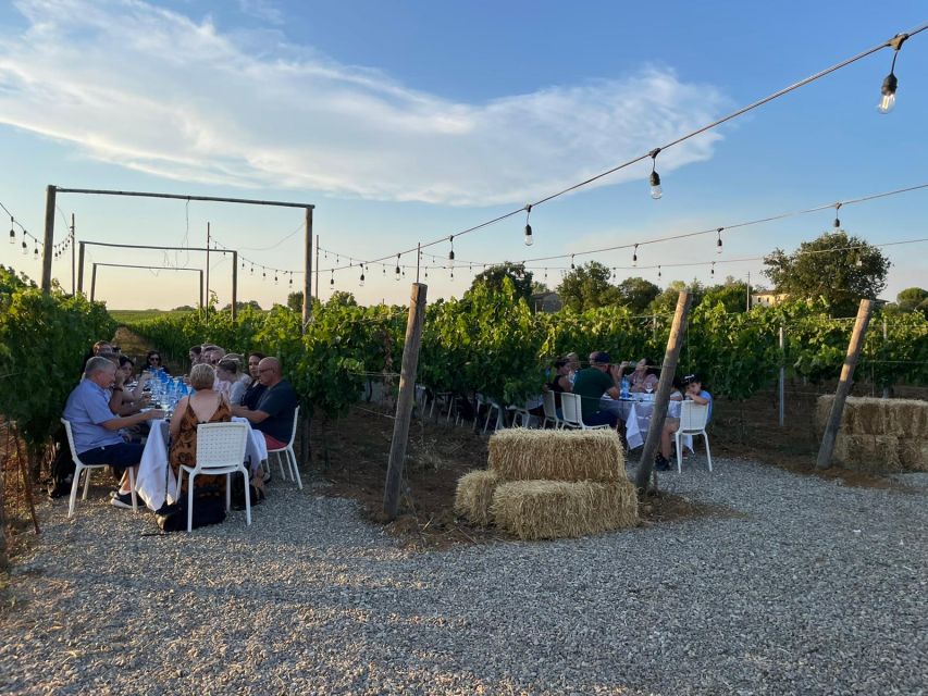From Siena: Chianti and Castles Tour with Wine Tastings - Key points to know before booking