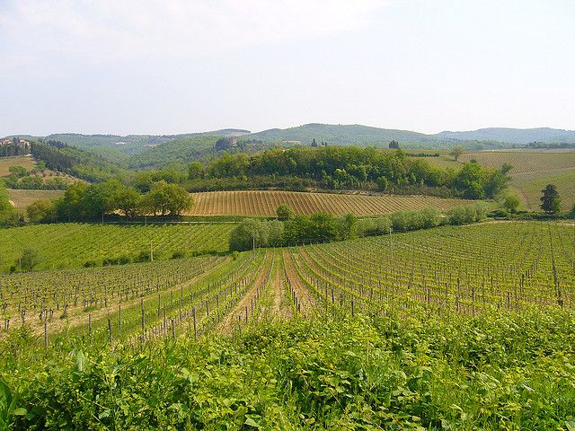 From Siena: Chianti and Castles Tour with Wine Tastings - Timing, comfort, and who should book
