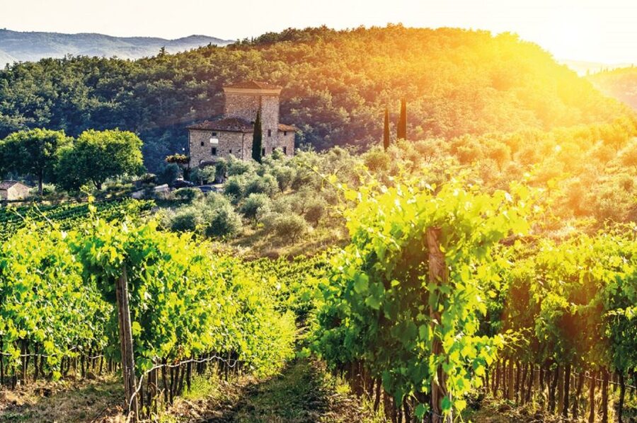 From Siena: Chianti and Castles Tour with Wine Tastings - Lornano and the second side of Chianti wine