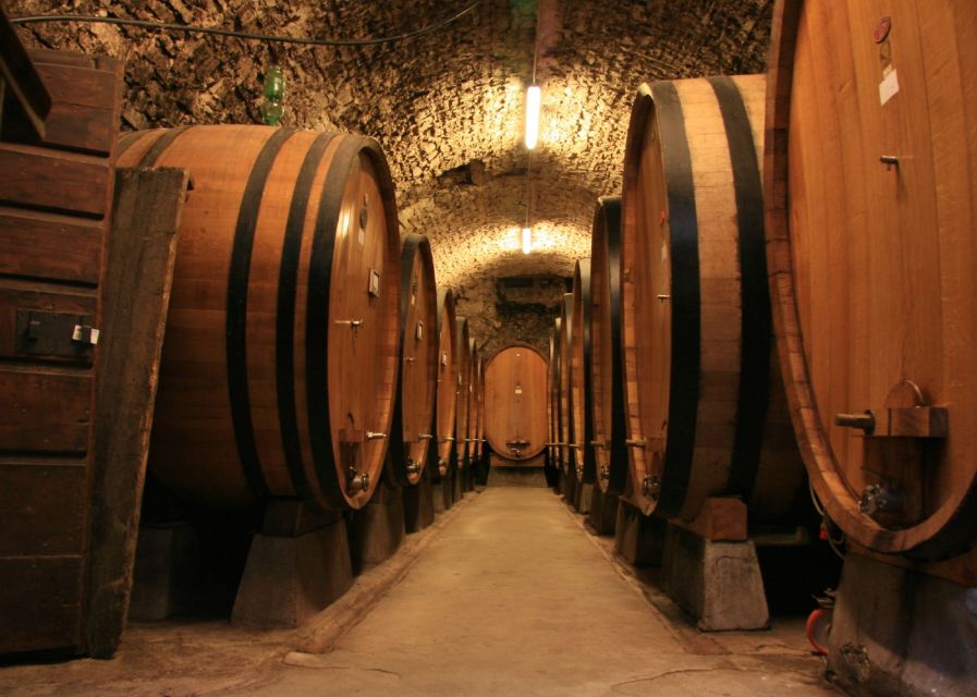From Siena: Chianti and Castles Tour with Wine Tastings - What the guide adds between the stops