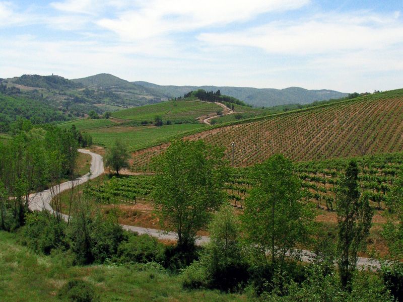 From Siena: Chianti and Castles Tour with Wine Tastings - What you actually taste