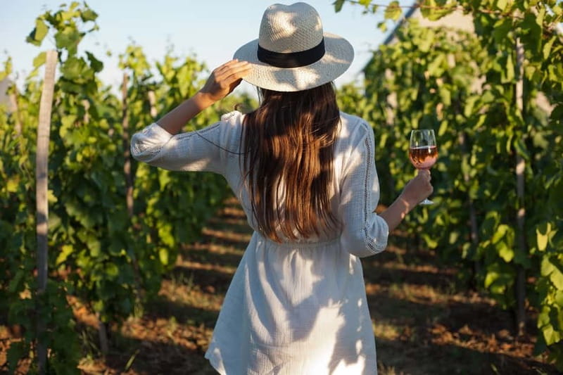 From Siena/Chianti: Dinner & Drinks in the Chianti Vineyards - Leaving Siena for the Chianti Countryside