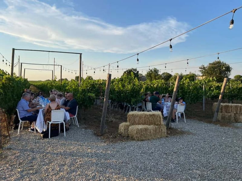 From Siena/Chianti: Dinner & Drinks in the Chianti Vineyards - Weather, Candles, and the Backup Plan