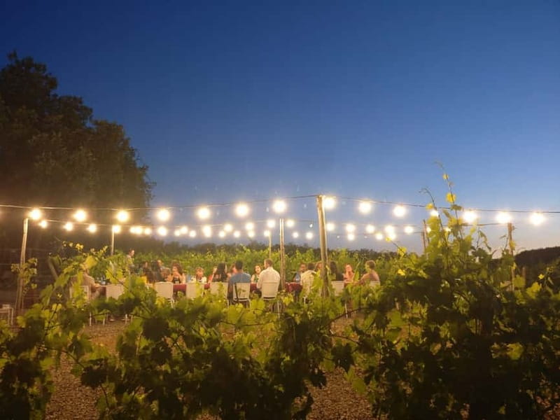 From Siena/Chianti: Dinner & Drinks in the Chianti Vineyards - The Guides Can Shape the Evening