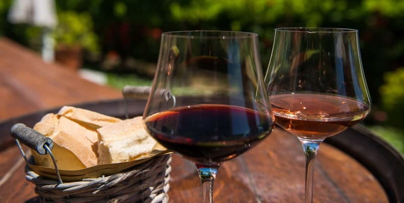 From Siena/Chianti: Dinner & Drinks in the Chianti Vineyards - Who Will Enjoy This Evening Most