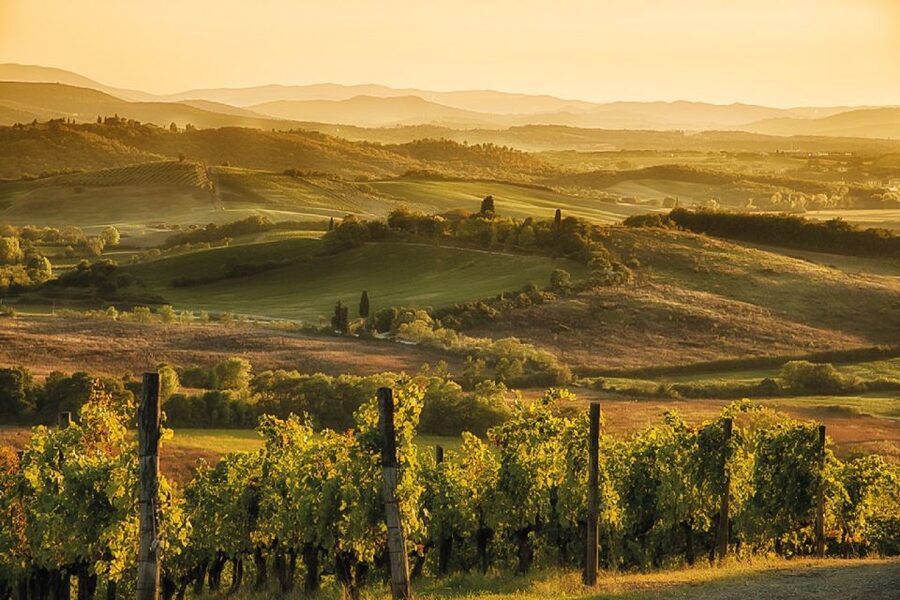 From Siena: Day Tour in a Vintage Fiat 500 with Winery - Wine, snacks, and countryside views