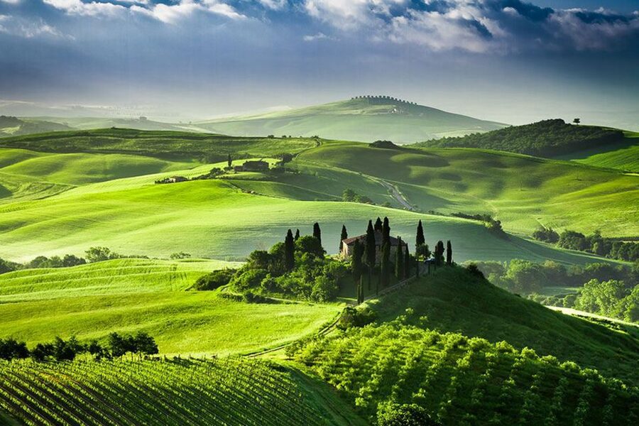 From Siena: Tuscany Hills Wine Tour - The final winery stop