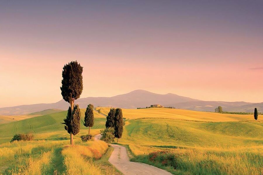 From Siena: Tuscany Hills Wine Tour - Guides, languages, and group rhythm