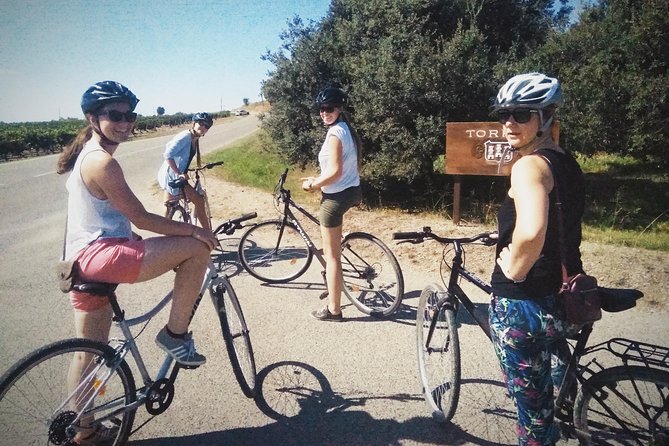 From Sitges: Bike Tour and Winery Visit with Free Hotel Pick Up. - What the cava tasting is really like