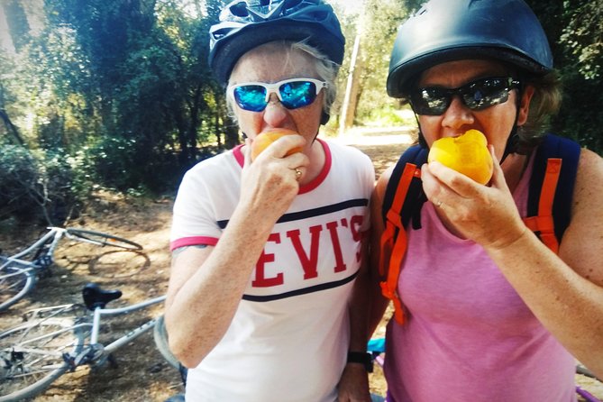 From Sitges: Bike Tour and Winery Visit with Free Hotel Pick Up. - Price, group size, and what you receive