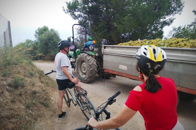 From Sitges: Bike Tour and Winery Visit with Free Hotel Pick Up. - Practical advice for a smoother morning