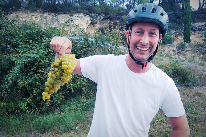 From Sitges: Bike Tour and Winery Visit with Free Hotel Pick Up. - Vineyard stops add more than a photo break
