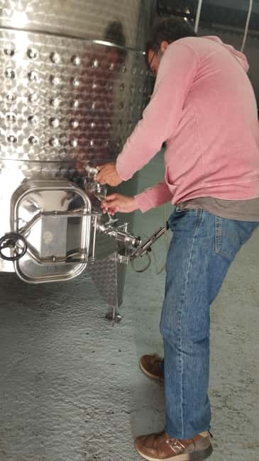 From Sitges: Wine Tasting at 2 Wineries with Hotel Pickup - Should you book the Sitges Penedès wine tour?