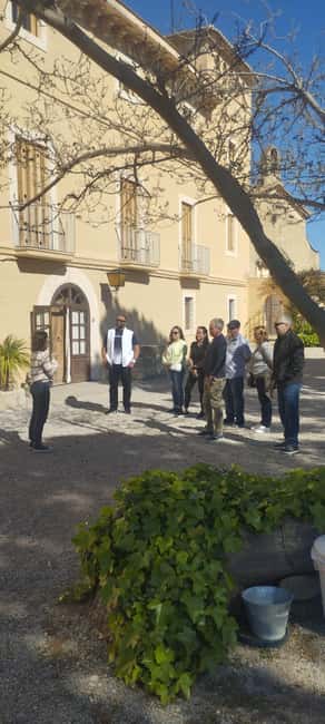 From Sitges: Wine Tasting at 2 Wineries with Hotel Pickup - What you actually taste