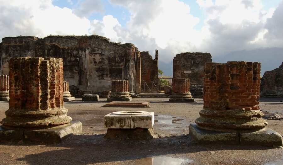 From Sorrento: Full-Day Pompeii & Wine Tasting Tour - The food, wine, and social side