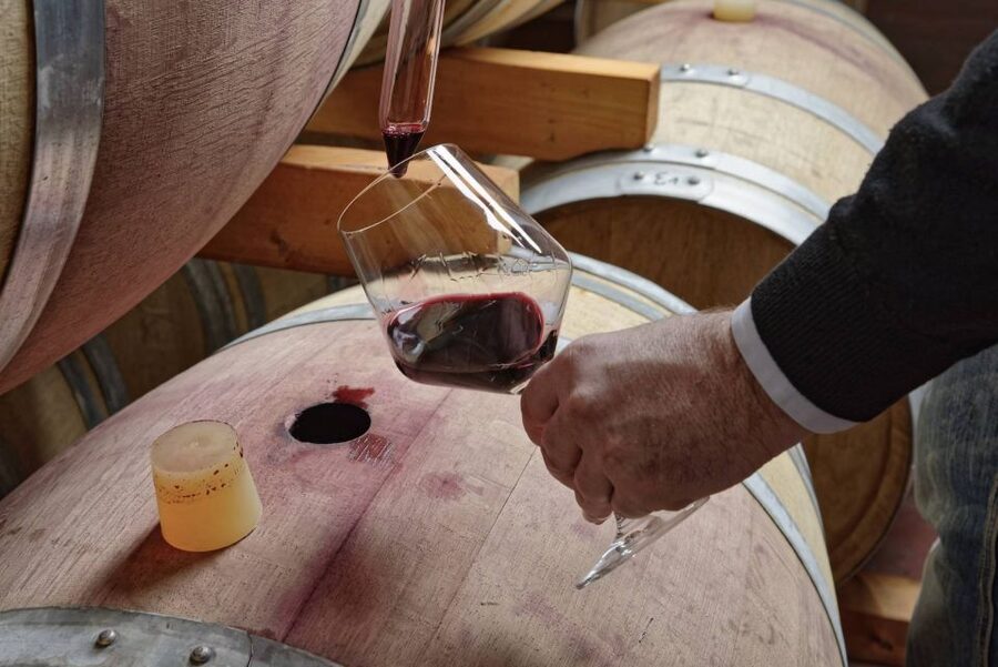 From Sorrento: Full-Day Pompeii & Wine Tasting Tour - Who should book this Pompeii and winery combination?