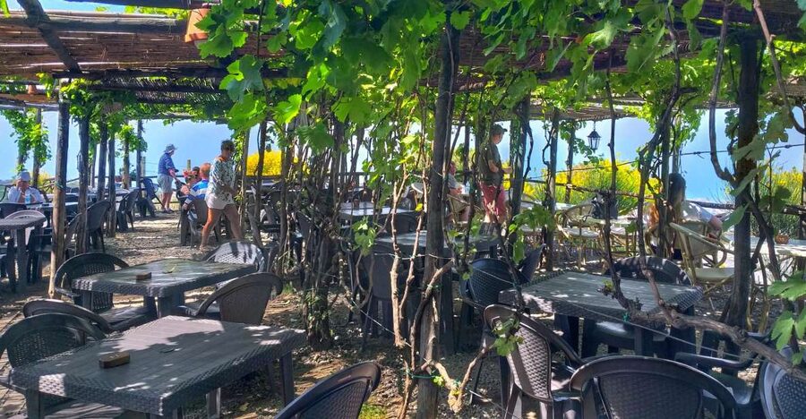 From Sorrento: Mount Vesuvius Tour with Lunch & Wine Tasting - Key points to know before booking