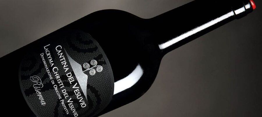 From Sorrento: Mount Vesuvius Tour with Lunch & Wine Tasting - A vineyard shaped by volcanic soil