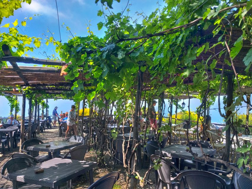 From Sorrento: Mount Vesuvius Tour with Lunch & Wine Tasting - How much wine education should you expect?