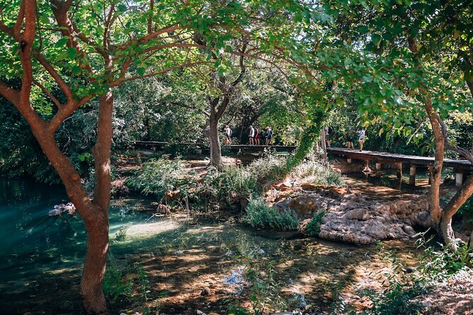 From Split: Krka Waterfalls, Food & Wine Tasting Tour - A family winery in Plastovo