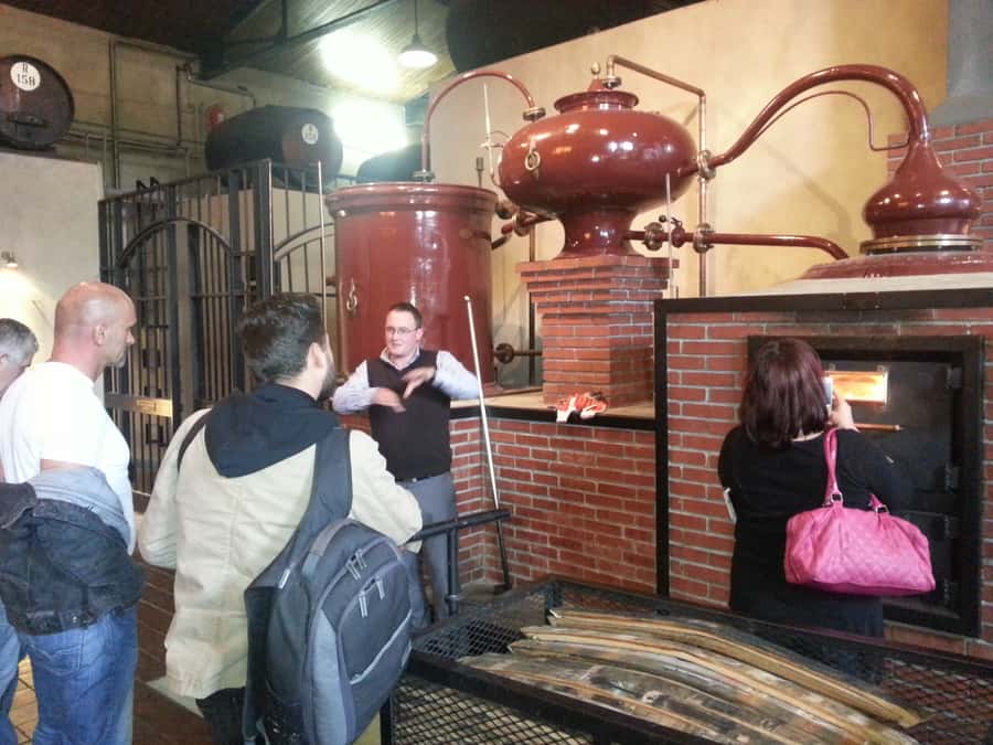 From Stellenbosch: Hop-On Hop-Off Wine Tour Southern Route - Key points to know before you go