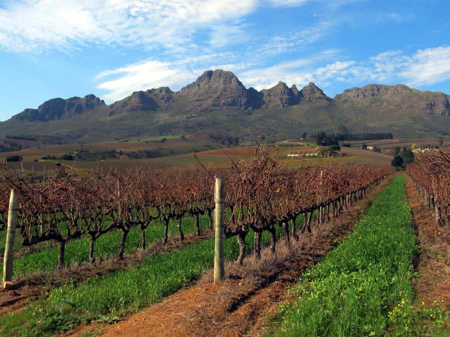 From Stellenbosch: Hop-On Hop-Off Wine Tour Southern Route - Why the Southern Route works so well
