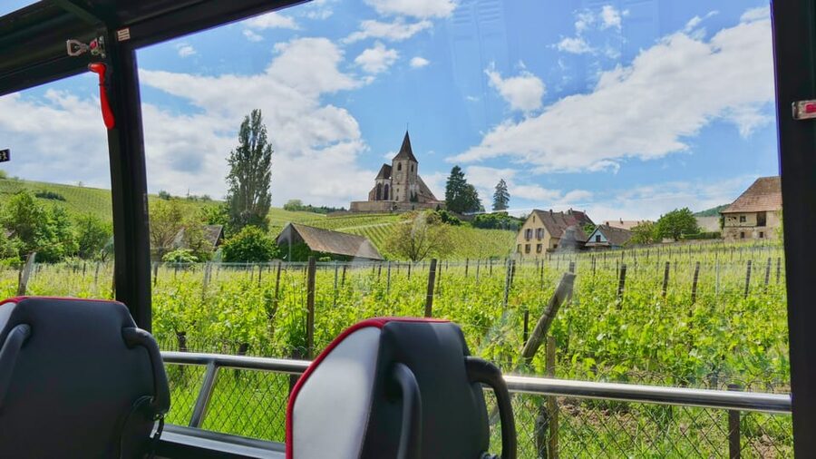 From Strasbourg: Medieval Villages & Wine Tasting Day Trip - A local winery and a relaxed tasting