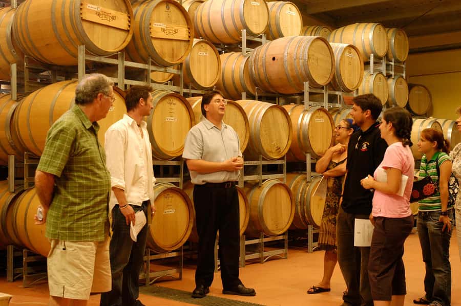 From Sydney: All Inclusive Boutique Hunter Valley Wine Tour - The 45-minute artisan cheese tasting