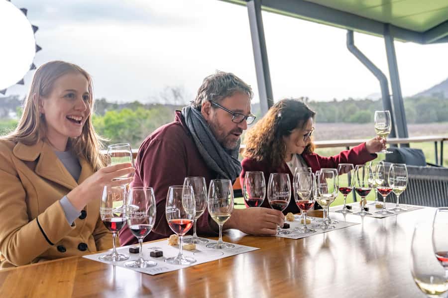 From Sydney: All Inclusive Boutique Hunter Valley Wine Tour - Who should book this tour