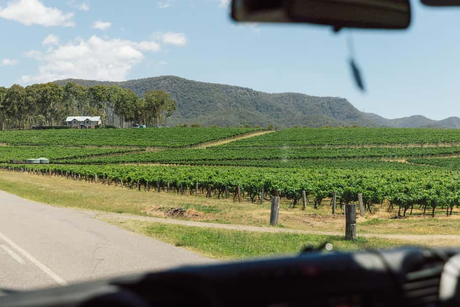 From Sydney: Full-Day Hunter Valley Wine Tour & Lunch - Irongate Estate and the winemaking lesson