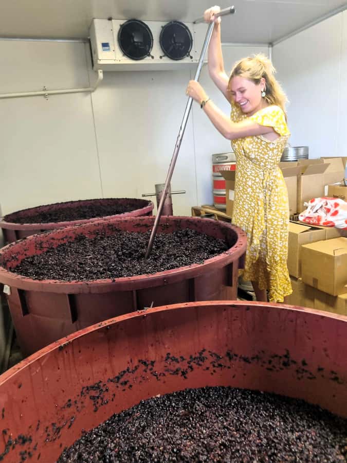 From Sydney: Hunter Valley Wine, Gin & Food Tastings Tour - Why this makes sense as a Sydney day trip