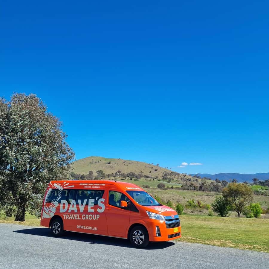 From Sydney: Hunter Valley Wine, Gin & Food Tastings Tour - How the transport and group size affect the day