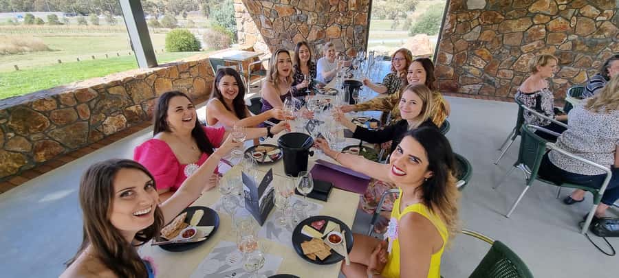 From Sydney: Hunter Valley Wine, Gin & Food Tastings Tour - The guides make a real difference