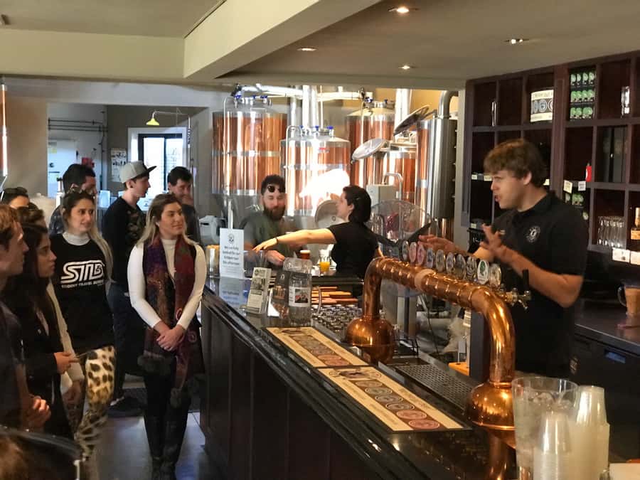 From Sydney: Hunter Valley Wine Tasting & Winery Picnic Tour - Practical details that make the day easier