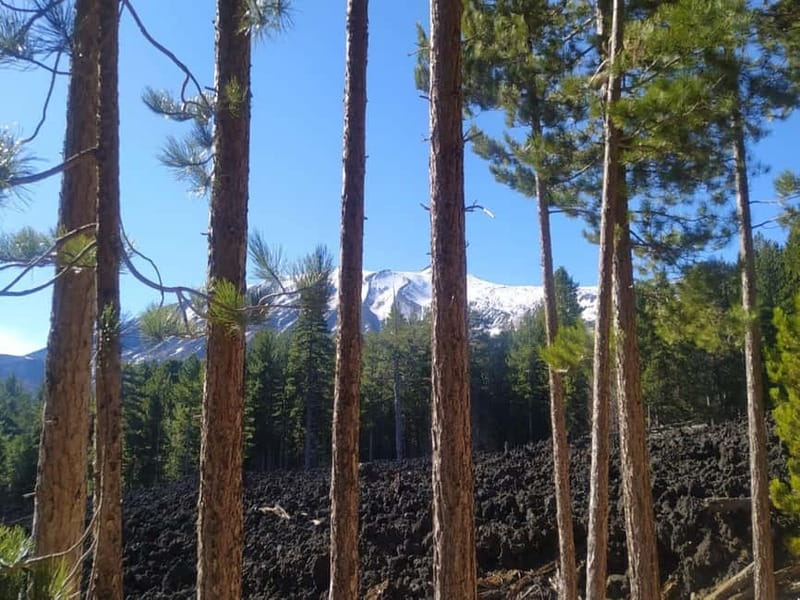 From Taormina: Etna Walking Tour and Wine Tasting in Winery - Walking across lava flows and side craters