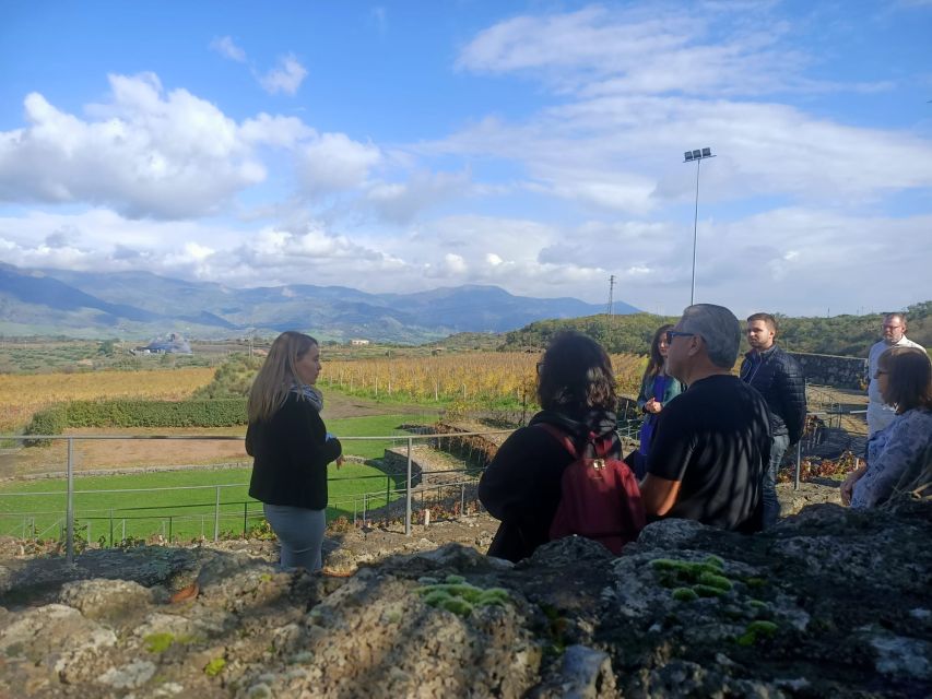 From Taormina: Etna Wineries Small Group Tour - Key points at a glance