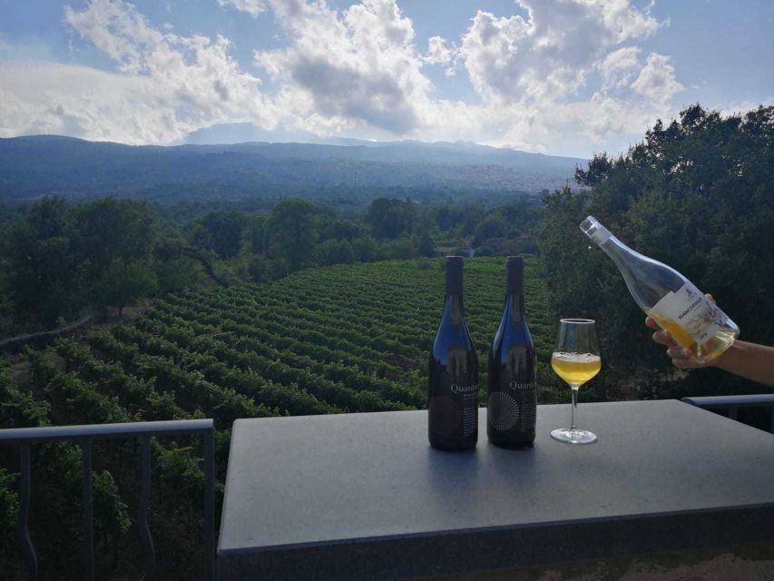From Taormina: Etna Wineries Small Group Tour - Why Etna wine country is worth a full day
