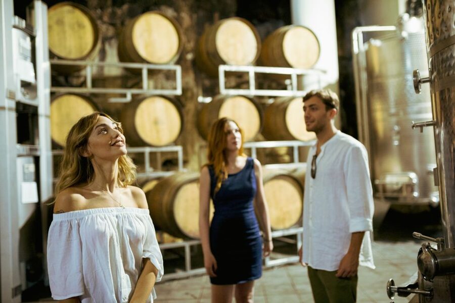 From Taormina: Mount Etna Food and Wine Tasting Tour - Limoncello and the ride back to Taormina