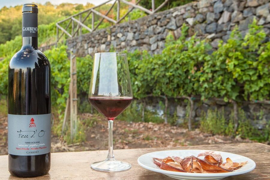 From Taormina: Private 3 Etna Wineries with Food & Wine - Why Etna wine makes this tour different