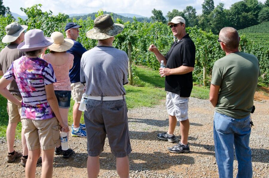 From Taormina: Private 3 Etna Wineries with Food & Wine - The private ride from Taormina or nearby ports