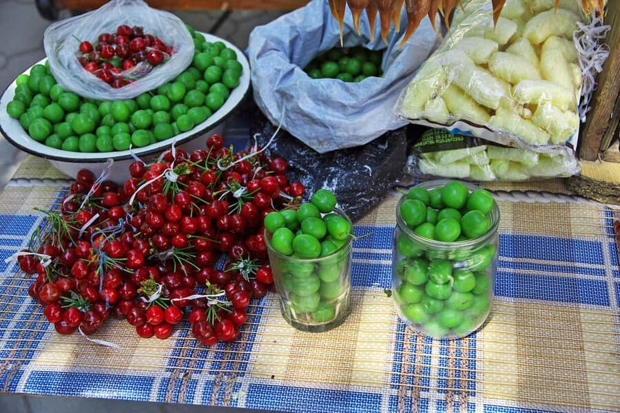 From Tbilisi: Kakheti Wine Region Tour with 9 Wine Tasting - Transport, timing, and the practical side
