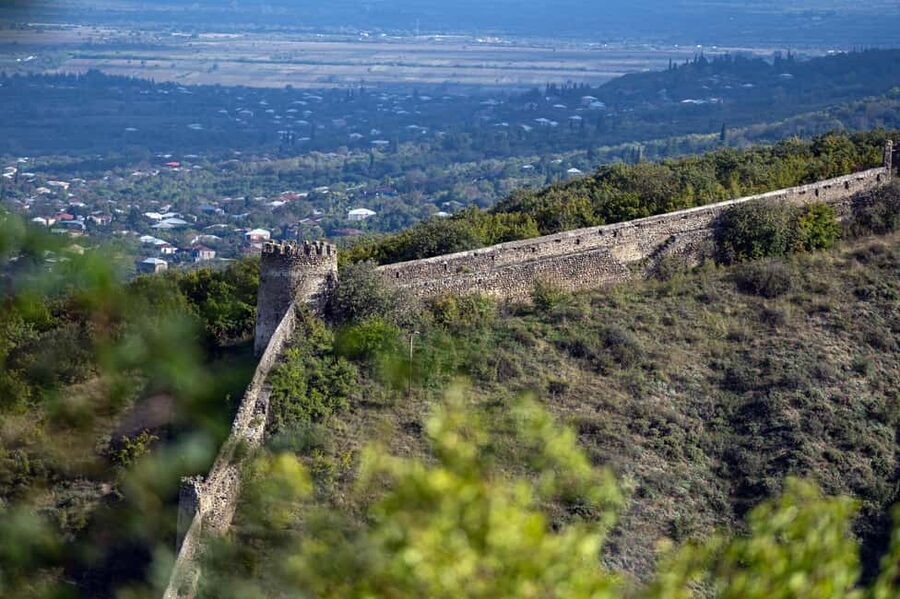 From Tbilisi: Kakheti Wine Region Tour with 9 Wine Tasting - The guide can shape the whole day