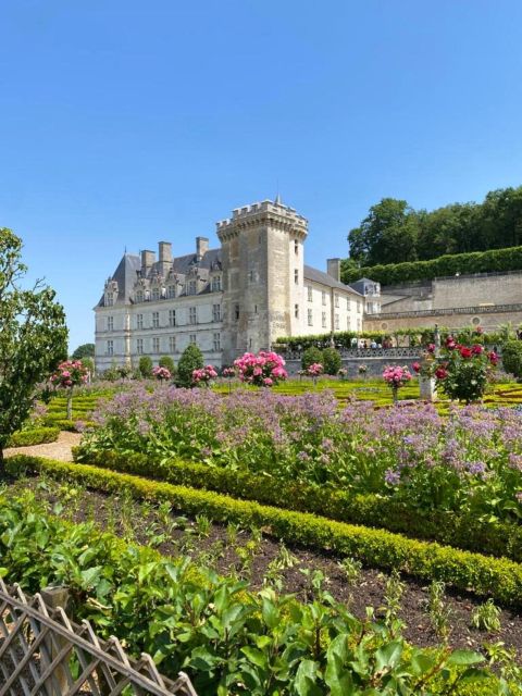 From Tours: Afternoon Loire Valley Wine Tour - What the Vouvray tasting teaches you