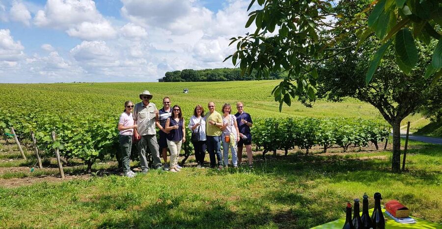 From Tours: Afternoon Loire Valley Wine Tour - What $116 buys you