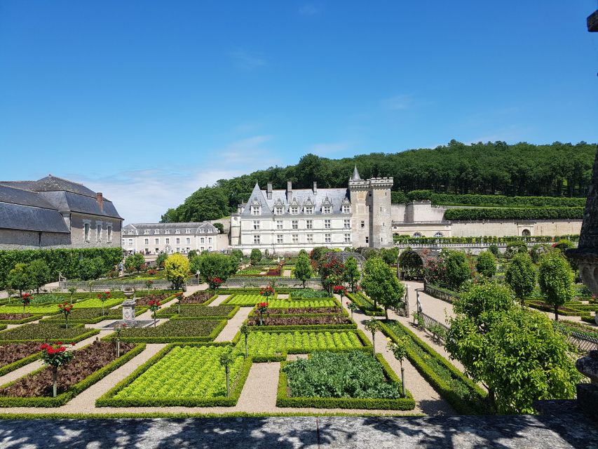 From Tours: Afternoon Loire Valley Wine Tour - What to wear and bring