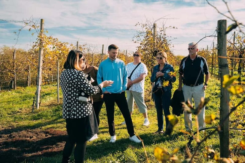From Venice: Prosecco Hills and Wine Tasting Tour - What DOC and DOCG mean for your glass