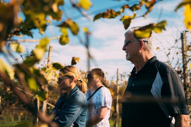 From Venice: Prosecco Wine Region Tour with 2 Tastings - A light lunch built around local products