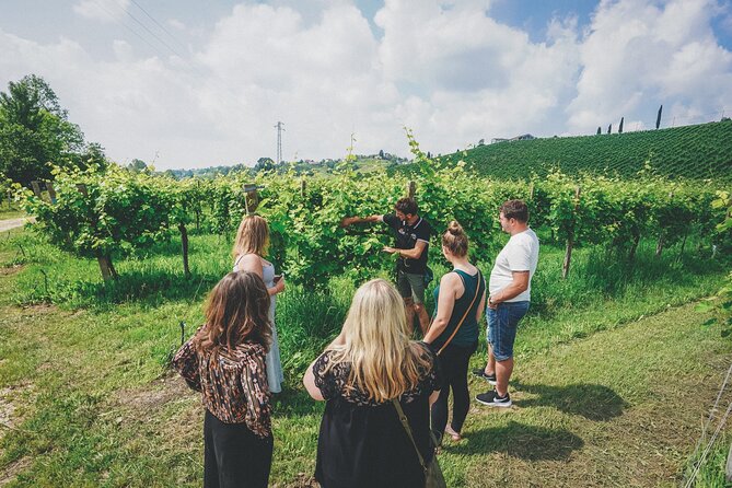 From Venice: Prosecco Wine Region Tour with 2 Tastings - The drive through the Veneto countryside