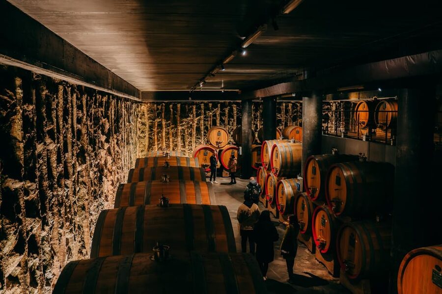 From Verona: Valpolicella and Amarone Wine Tasting Tour - Key points at a glance